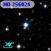 HD 256028