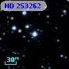 HD 253262