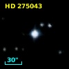 HD 275043