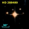 HD 288480