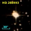 HD 288493