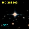 HD 288503