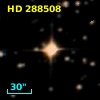 HD 288508