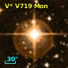 V* V719 Mon