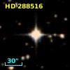 HD 288516