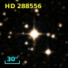 HD 288556