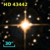 HD  43442