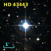 HD  43443