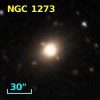 NGC  1273