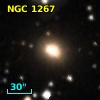 NGC  1267