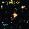 V* V1630 Ori