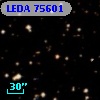 LEDA   75601