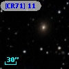 [CR71] 11