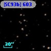 [SC93b] 603
