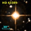 HD  43389