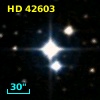 HD  42603