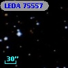 LEDA   75557