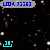 LEDA   75563