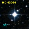 HD  43064