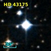 HD  43175