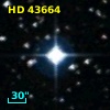 HD  43664