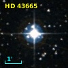 HD  43665