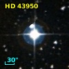 HD  43950