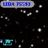 LEDA   75593