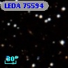 LEDA   75594