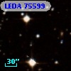LEDA   75599