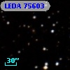 LEDA   75603