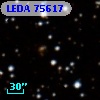 LEDA   75617