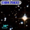 LEDA   75632