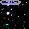 LEDA   75675