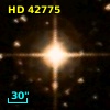 HD  42775