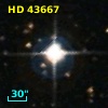 HD  43667