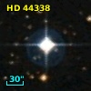 HD  44338