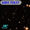 LEDA   75637