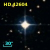 HD  42604