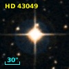 HD  43049