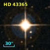 HD  43365