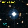 HD  43800