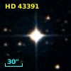 HD  43391