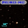[P85] 0613-1012