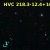 HVC 218.3-12.4+105