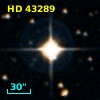 HD  43289