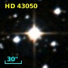 HD  43050