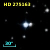 HD 275163