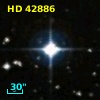 HD  42886