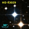 HD  43029